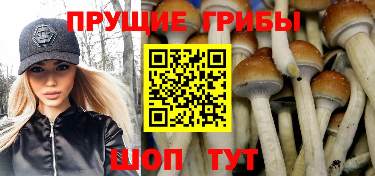 Галлюциногенные грибы GOLDEN TEACHER  закладки  Верхний Уфалей  Вход с VPN 